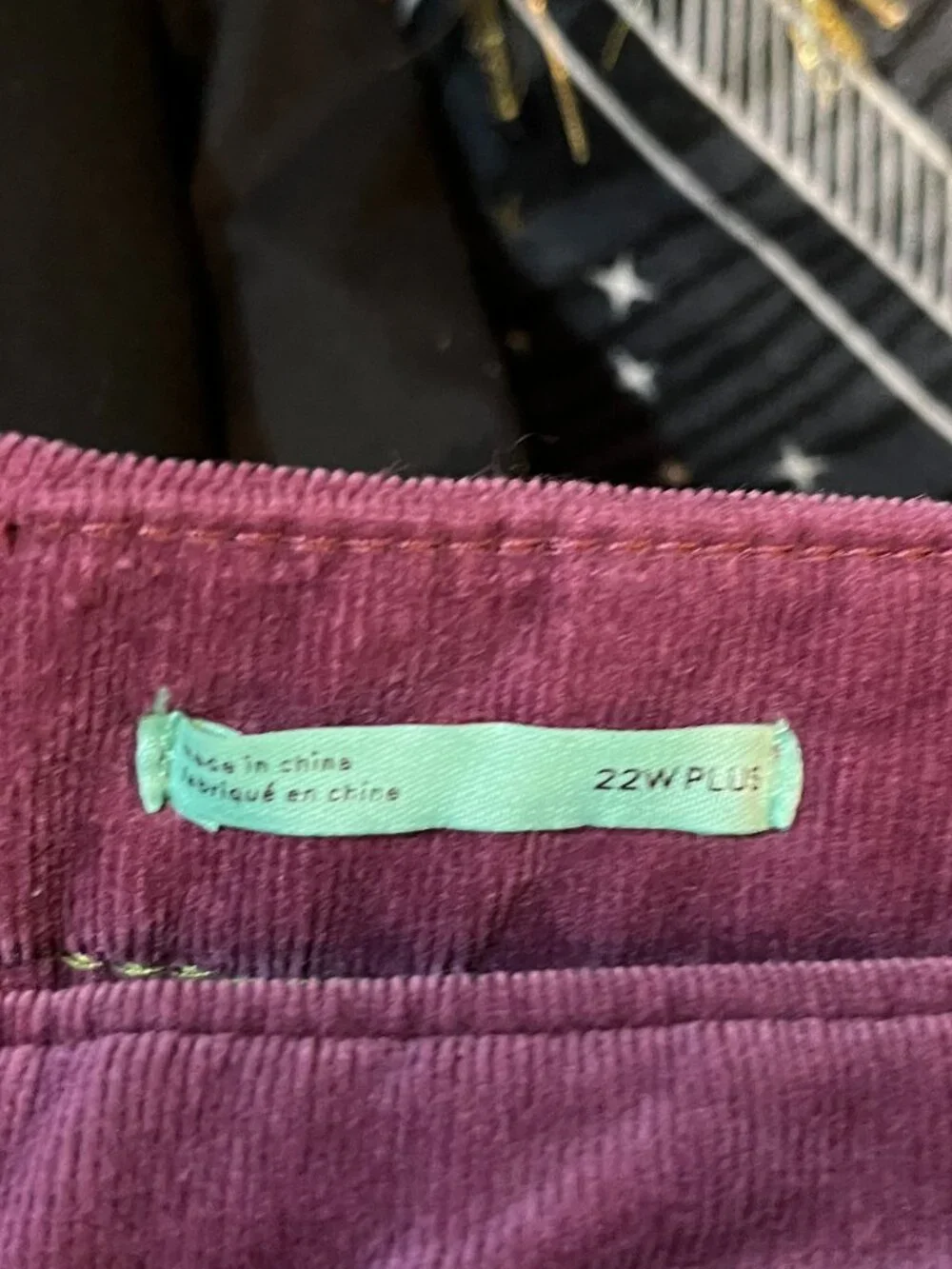 Anthropologie Pilcro Mulberry High Rise Skinny Corduroy Pants 22W NWT - Picture 8 of 9